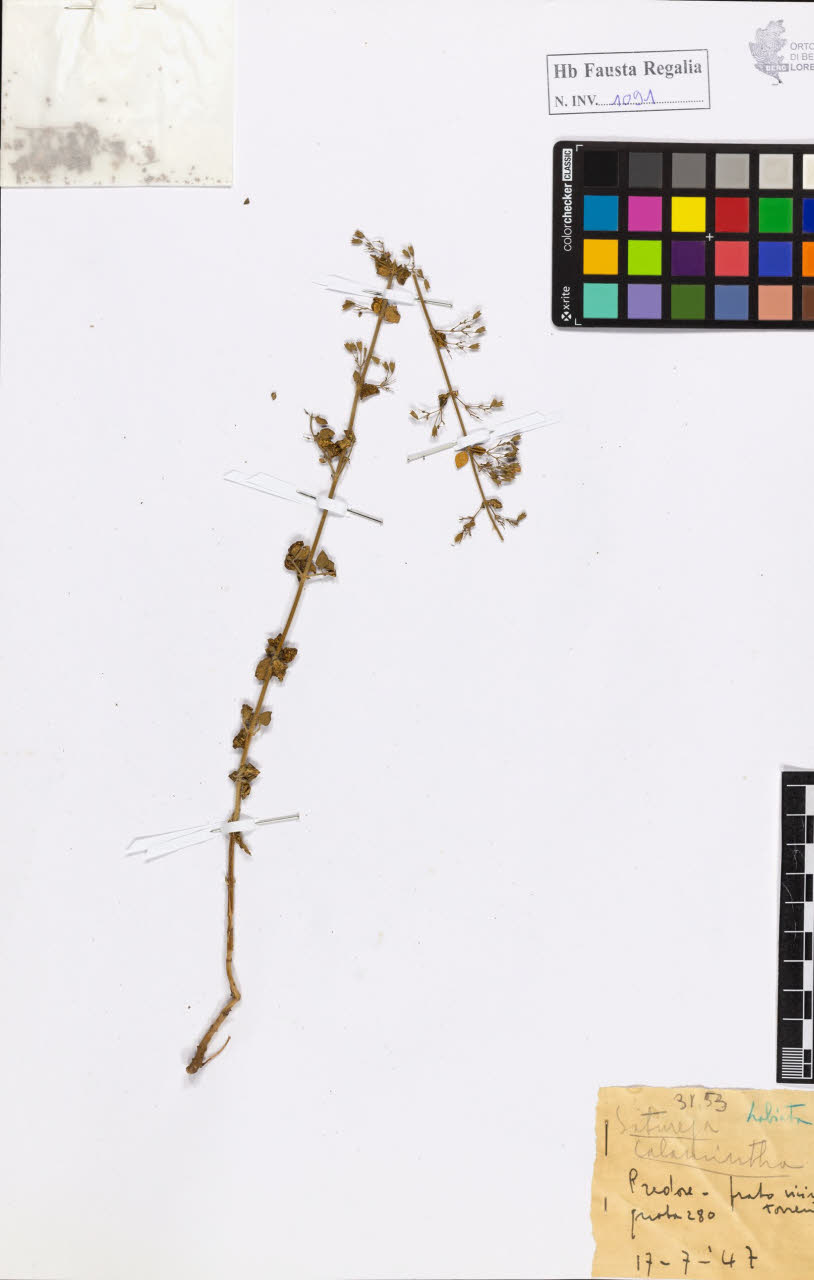 SW_BNB_s3020-01097_IMG-0000000001