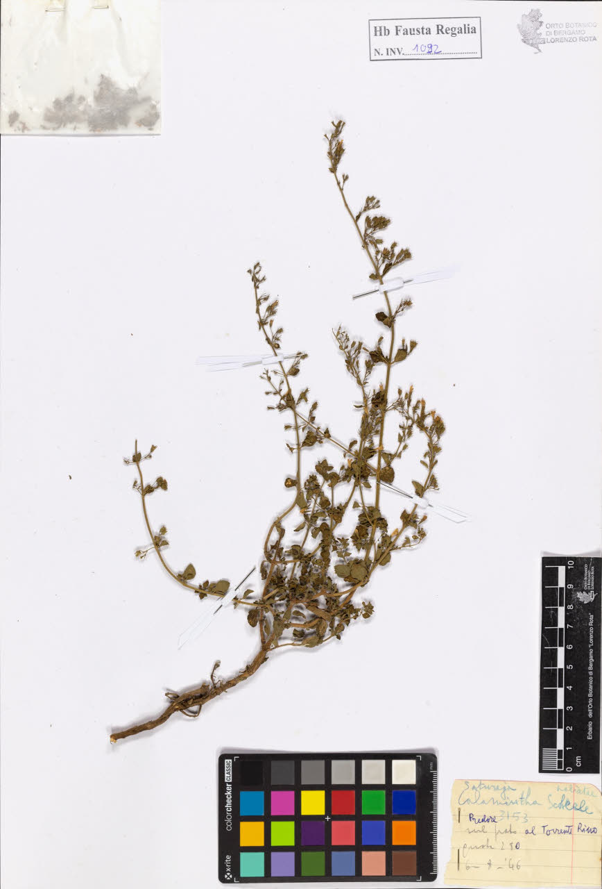 SW_BNB_s3020-01098_IMG-0000000001