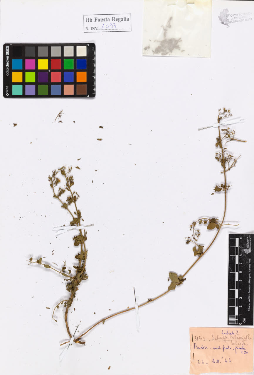 SW_BNB_s3020-01099_IMG-0000000001