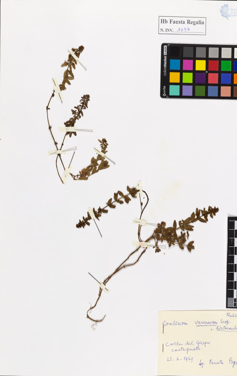 SW_BNB_s3020-01103_IMG-0000000001