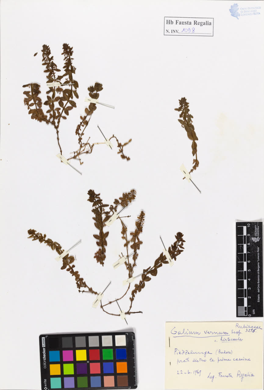 SW_BNB_s3020-01104_IMG-0000000001