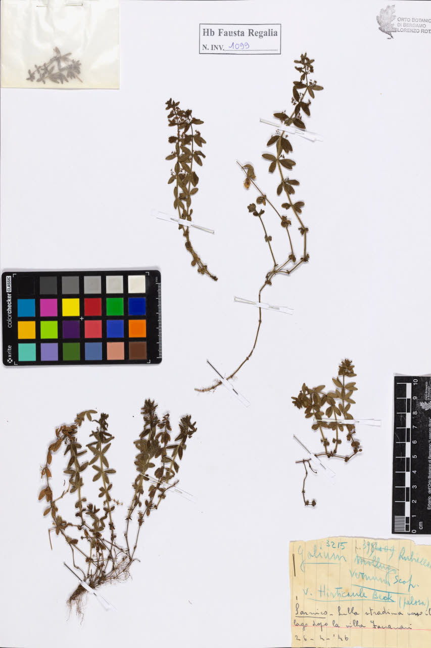 SW_BNB_s3020-01105_IMG-0000000001