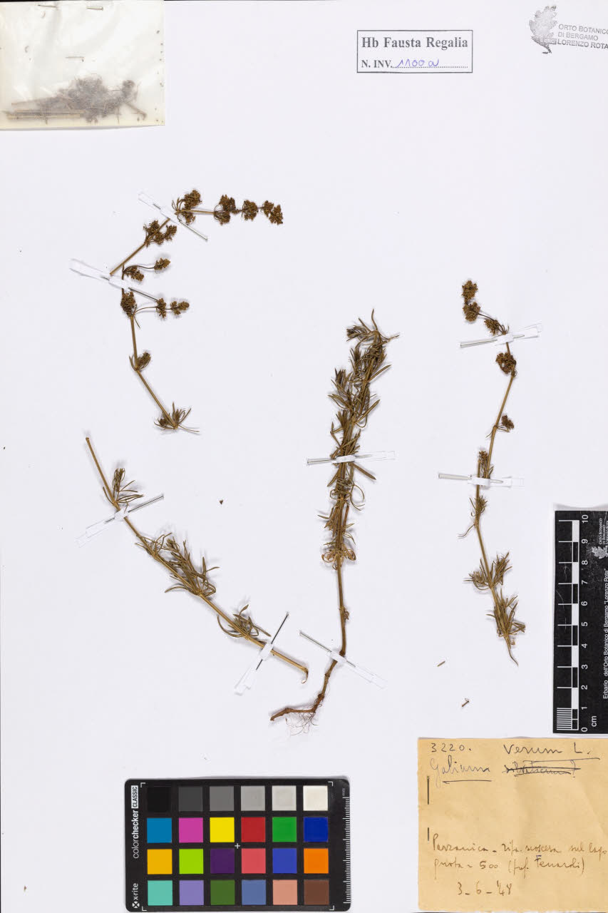 SW_BNB_s3020-01106_IMG-0000000001