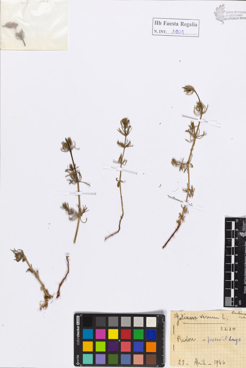 SW_BNB_s3020-01107_IMG-0000000001