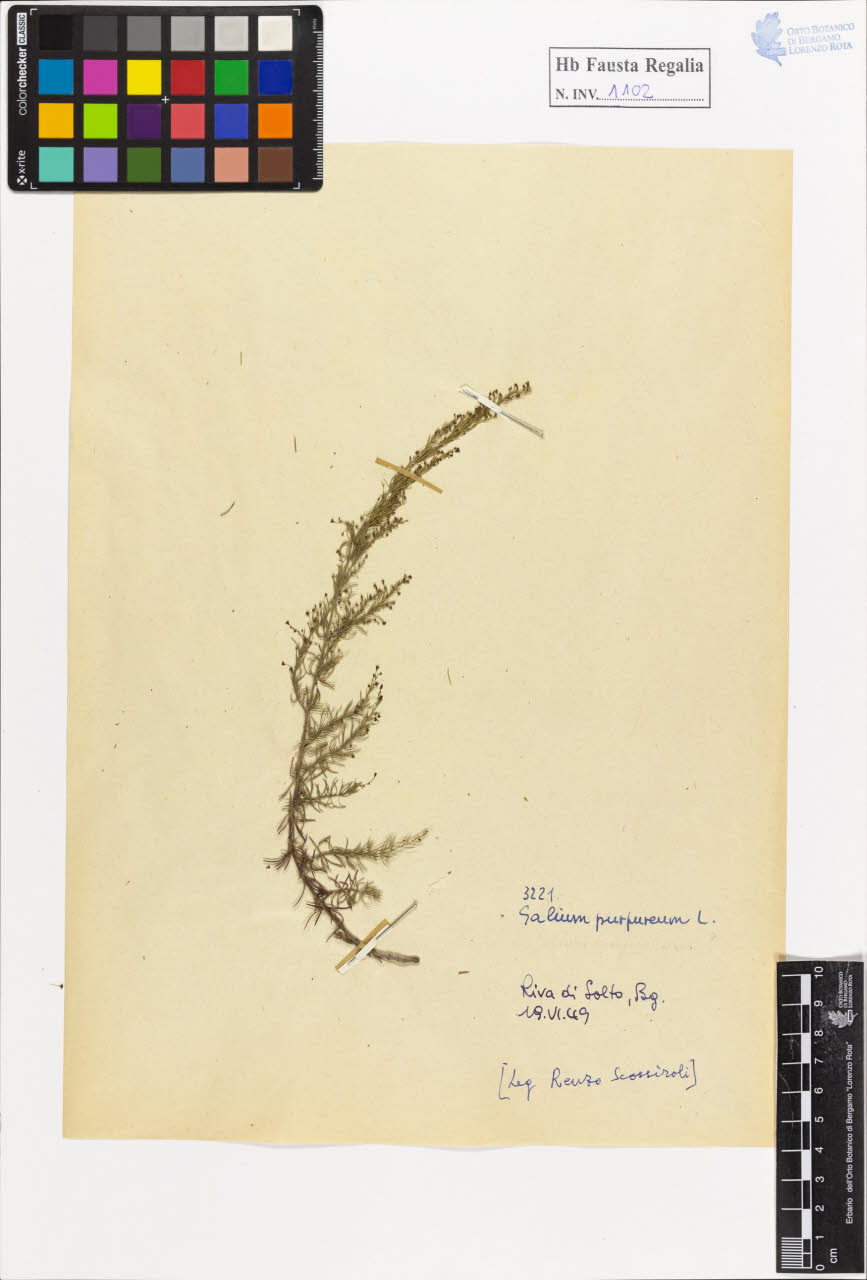 SW_BNB_s3020-01108_IMG-0000000001