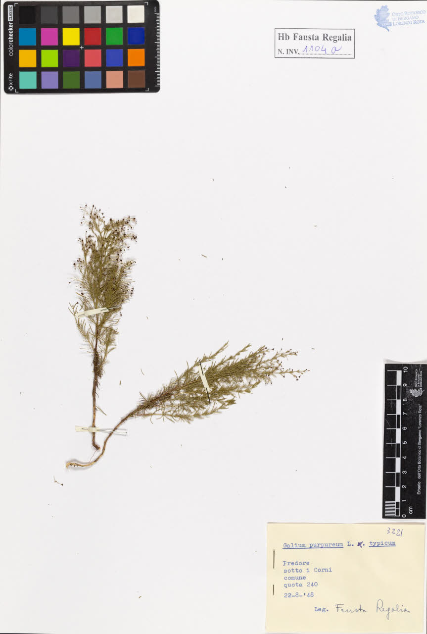 SW_BNB_s3020-01110_IMG-0000000001