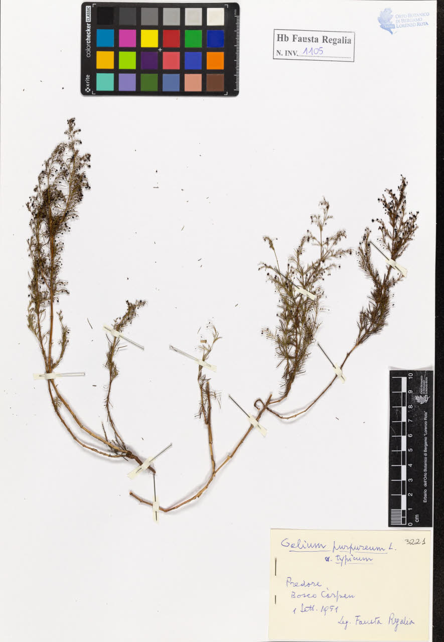 SW_BNB_s3020-01111_IMG-0000000001