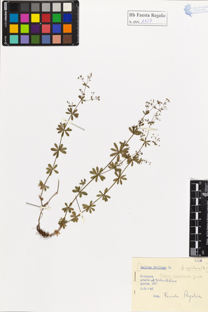 SW_BNB_s3020-01113_IMG-0000000001