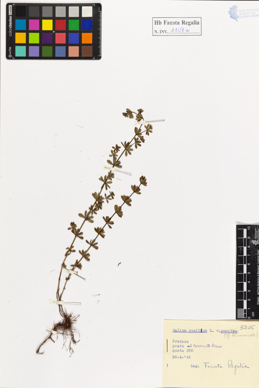 SW_BNB_s3020-01114_IMG-0000000001