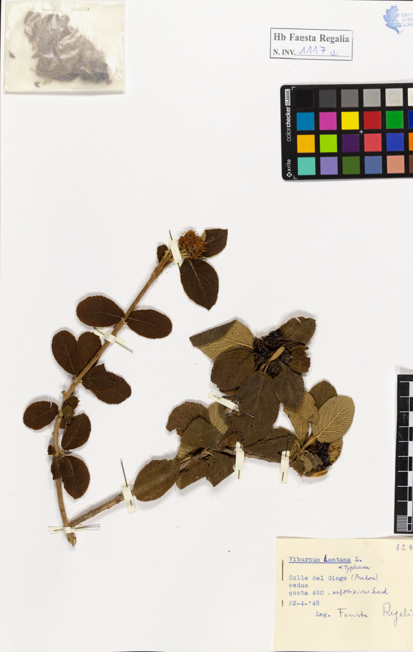 SW_BNB_s3020-01123_IMG-0000000001