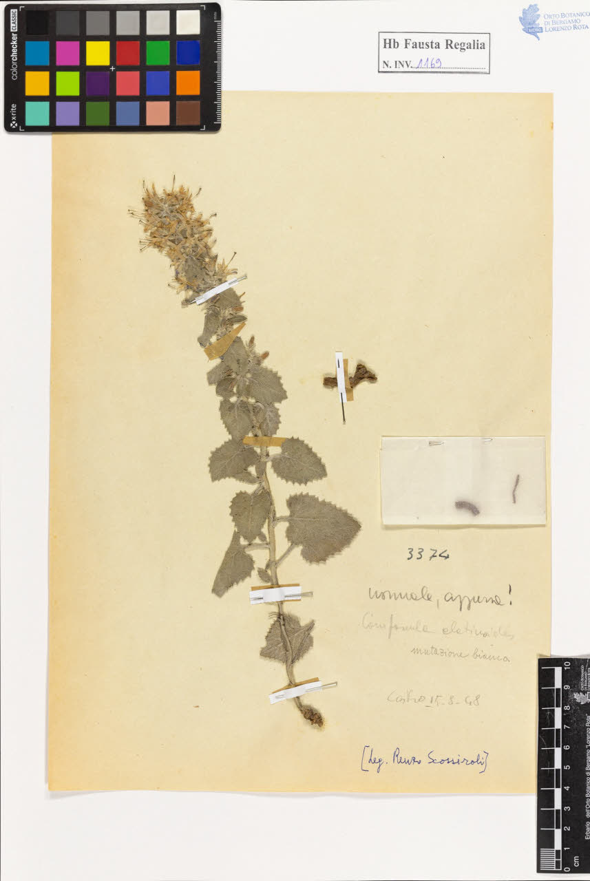 SW_BNB_s3020-01175_IMG-0000000001