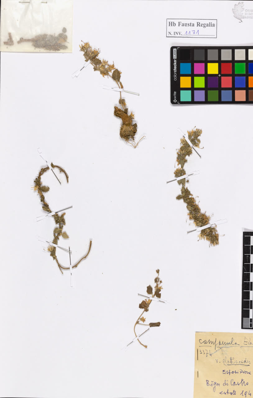 SW_BNB_s3020-01177_IMG-0000000001