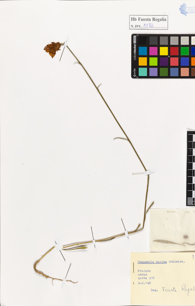 SW_BNB_s3020-01178_IMG-0000000001