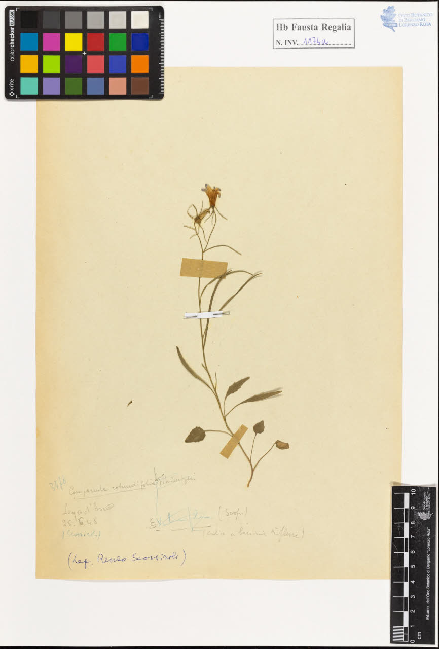 SW_BNB_s3020-01180_IMG-0000000001