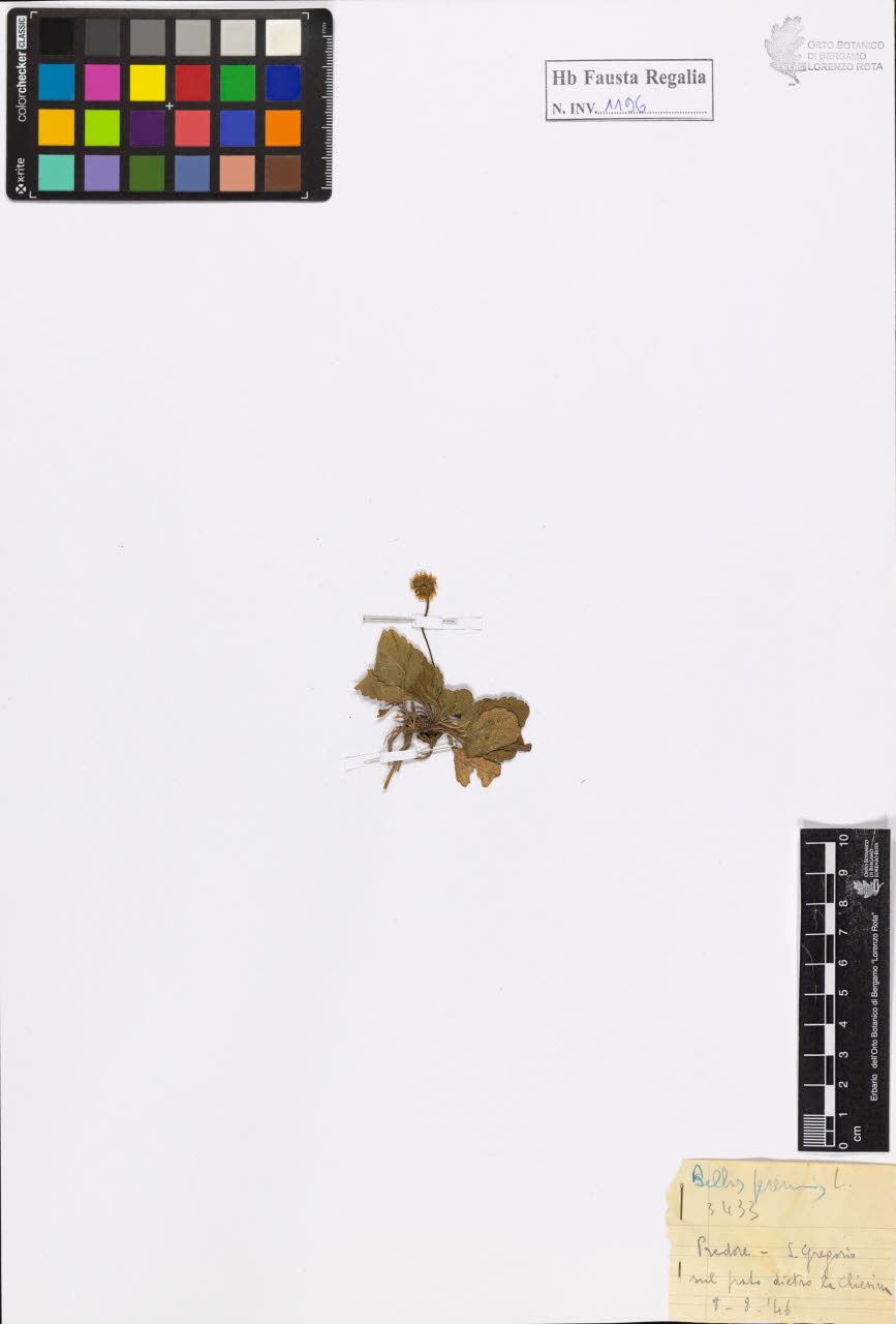 SW_BNB_s3020-01202_IMG-0000000001