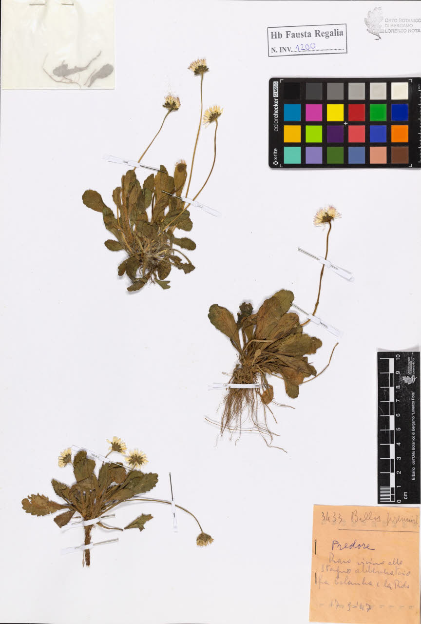 SW_BNB_s3020-01206_IMG-0000000001