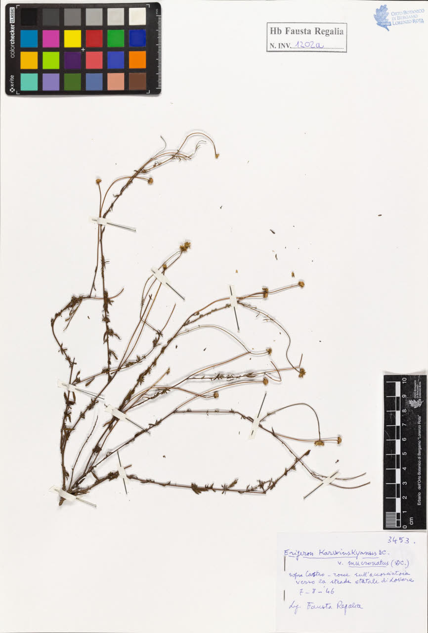 SW_BNB_s3020-01208_IMG-0000000001