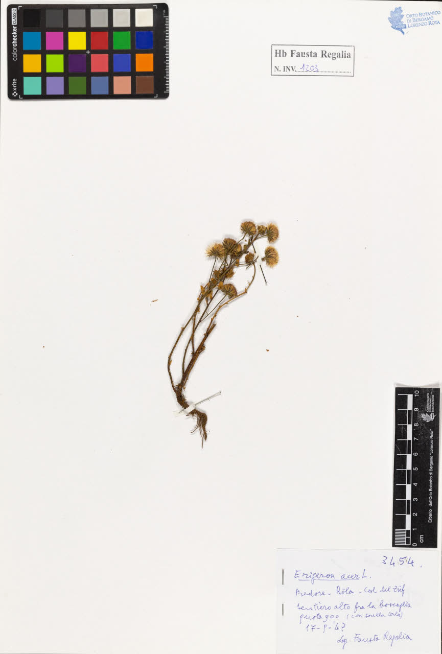 SW_BNB_s3020-01209_IMG-0000000001