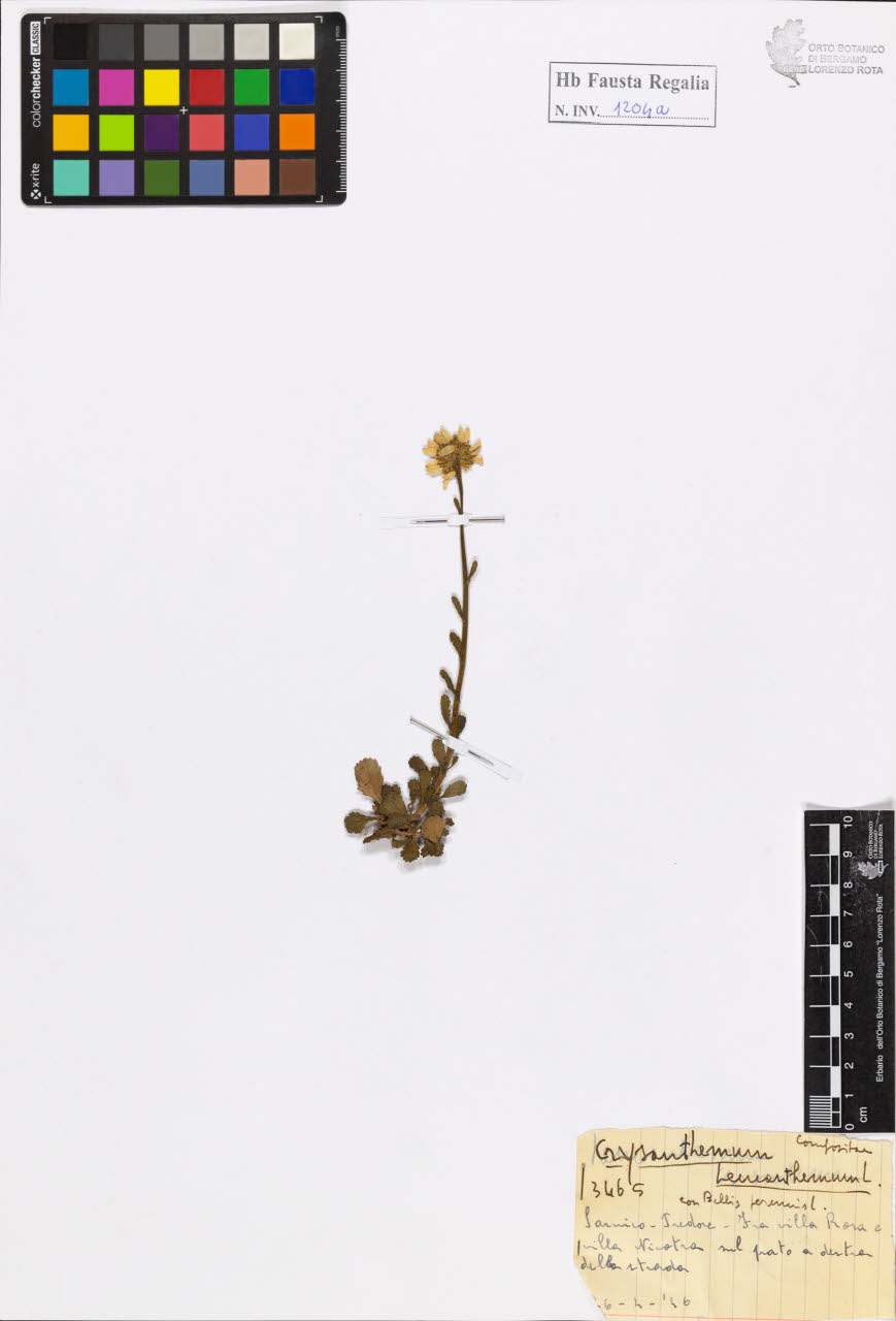 SW_BNB_s3020-01210_IMG-0000000001