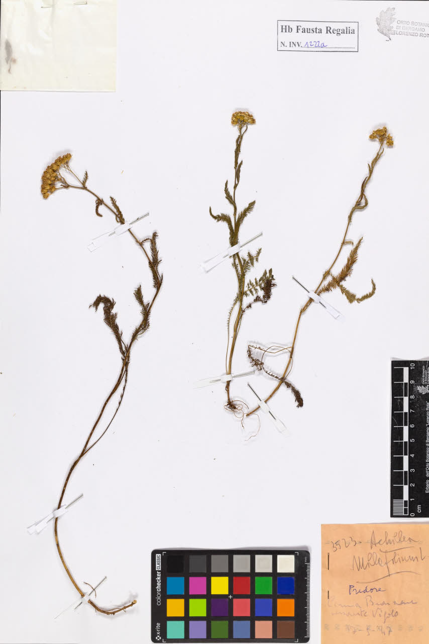 SW_BNB_s3020-01228_IMG-0000000001