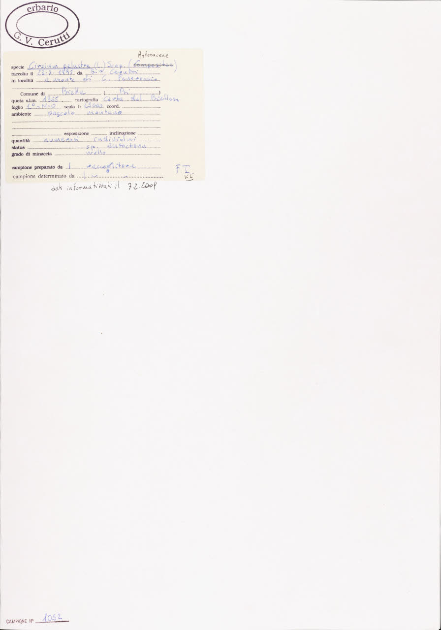SW_BNB_s3040-01136_IMG-0000000001