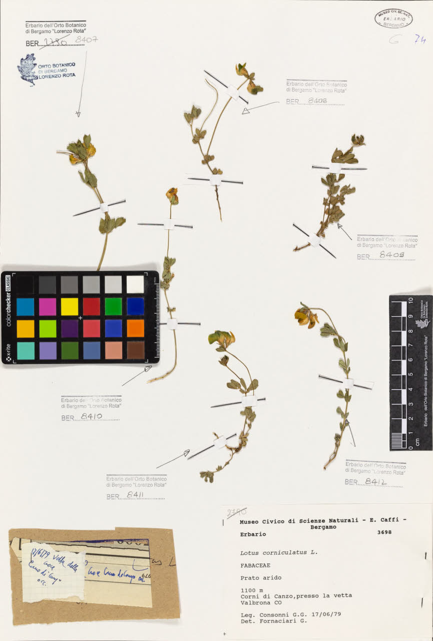 SW_BNB_s3080-06550_IMG-0000000001