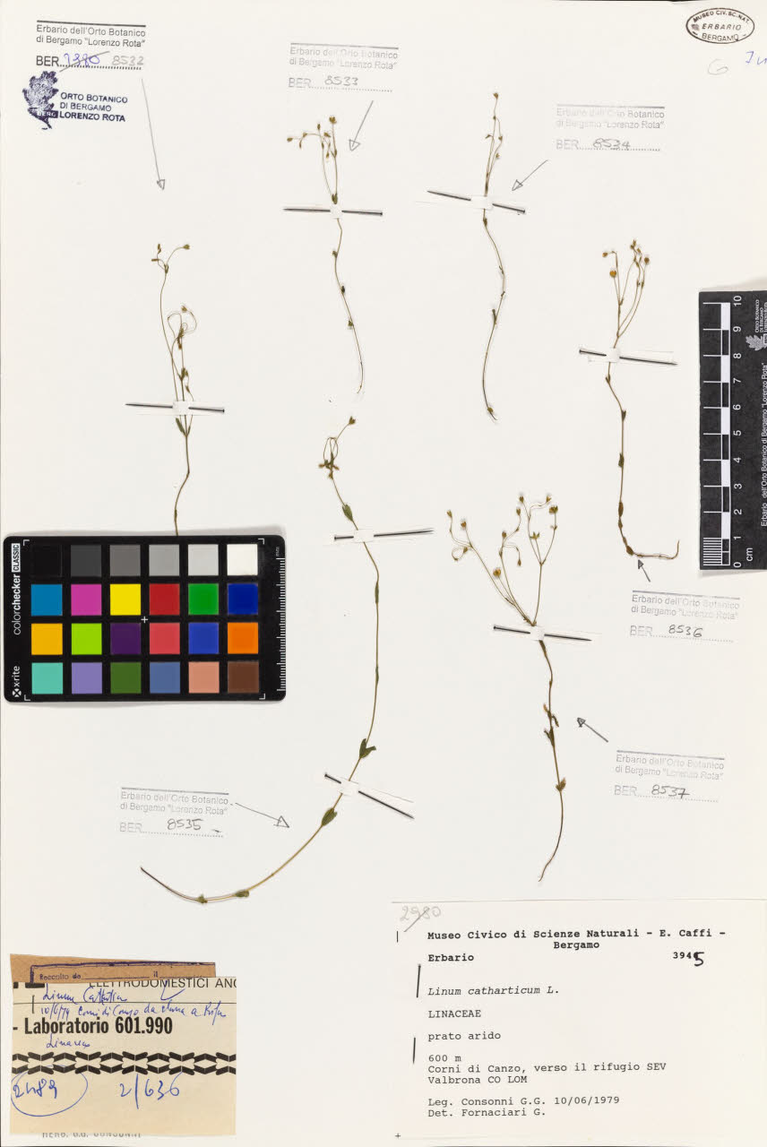 SW_BNB_s3080-06642_IMG-0000000001