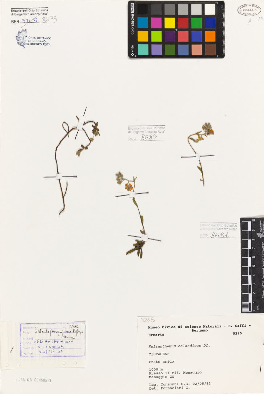SW_BNB_s3080-06748_IMG-0000000001