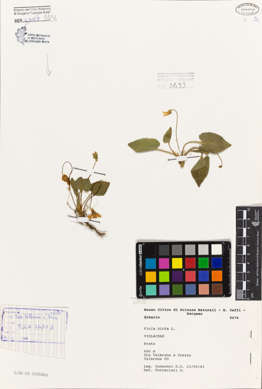 SW_BNB_s3080-06805_IMG-0000000001