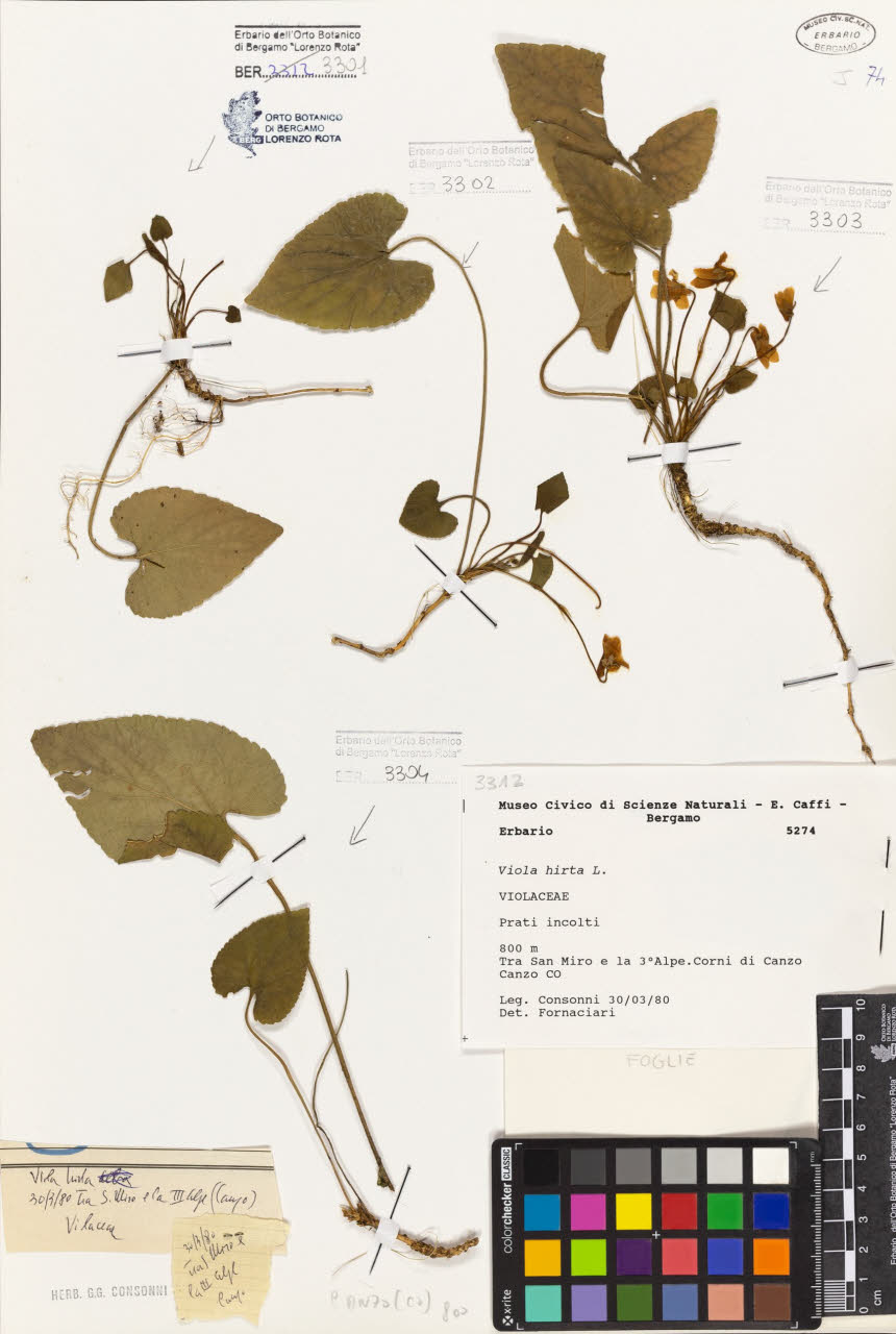 SW_BNB_s3080-06808_IMG-0000000001