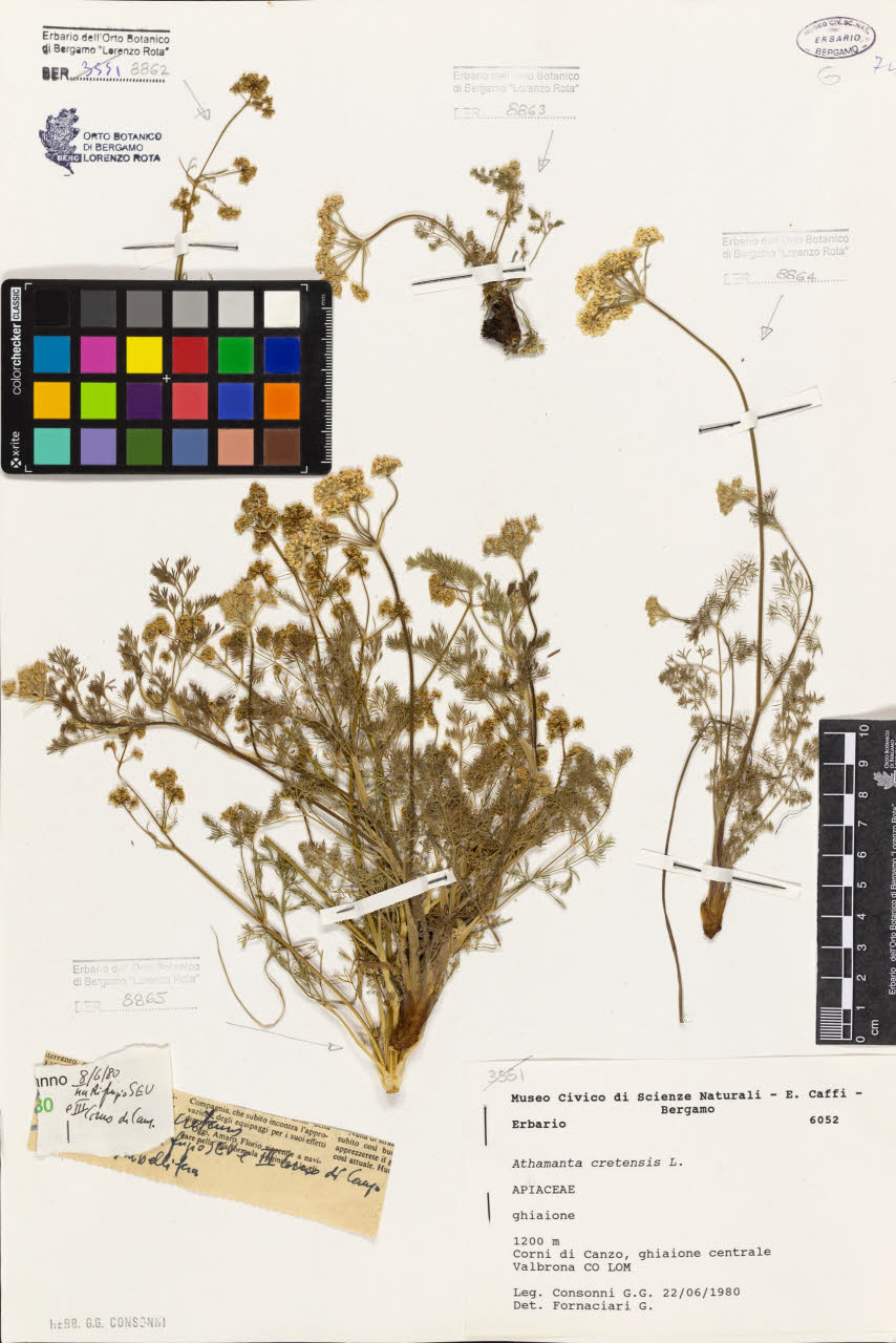 SW_BNB_s3080-06887_IMG-0000000001
