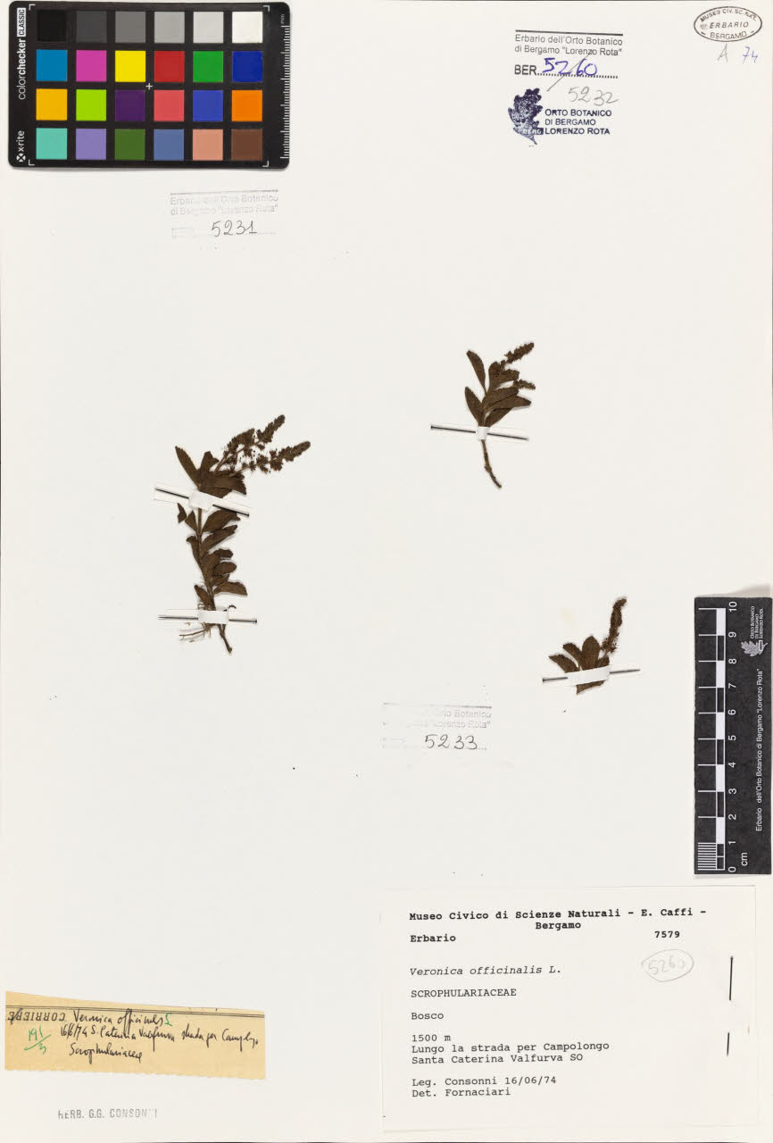 SW_BNB_s3080-07196_IMG-0000000001