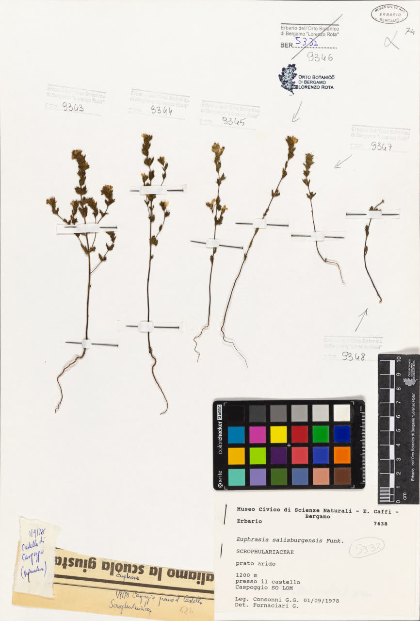 SW_BNB_s3080-07272_IMG-0000000001