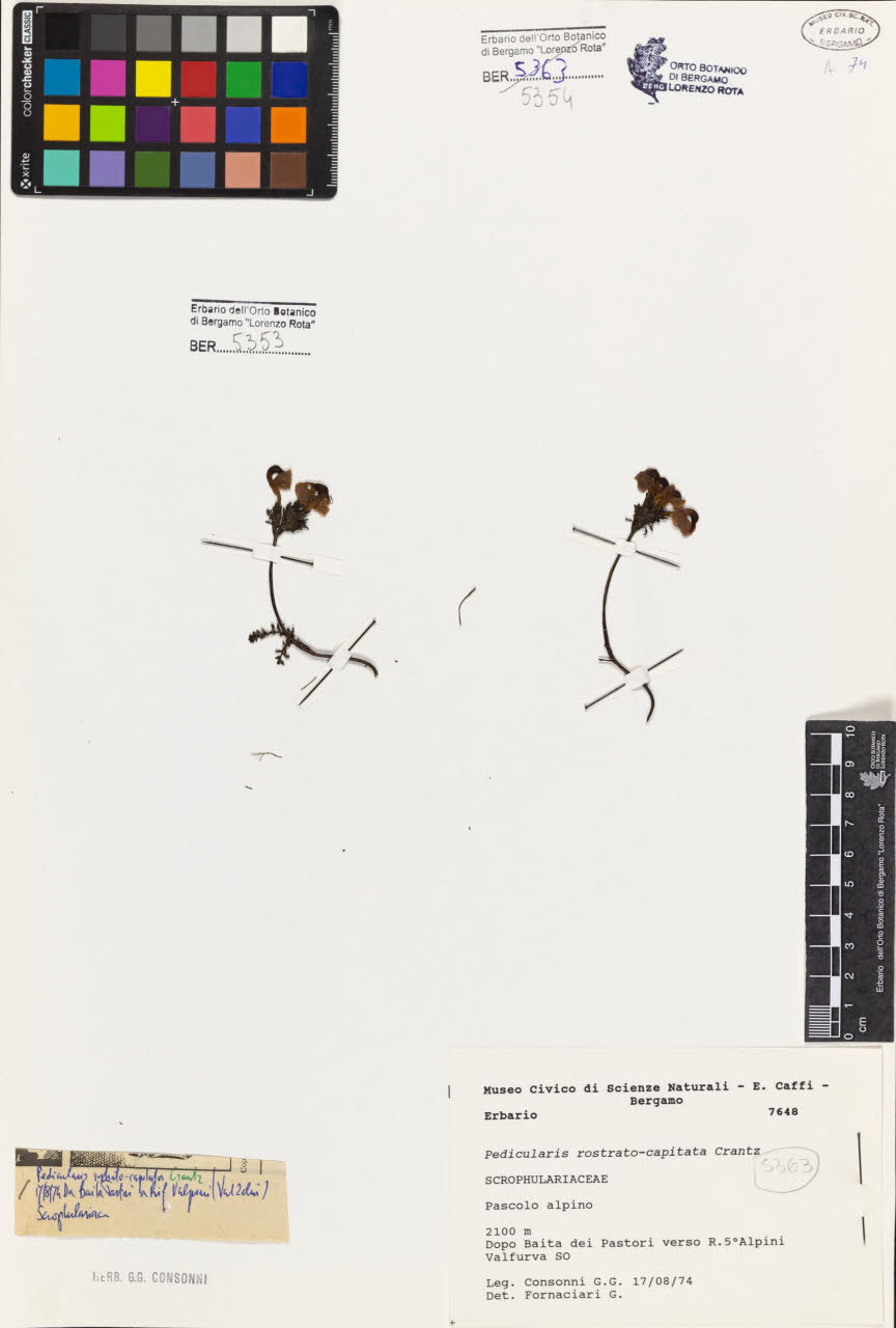 SW_BNB_s3080-07350_IMG-0000000001