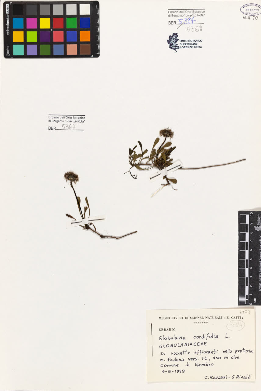 SW_BNB_s3080-07367_IMG-0000000001