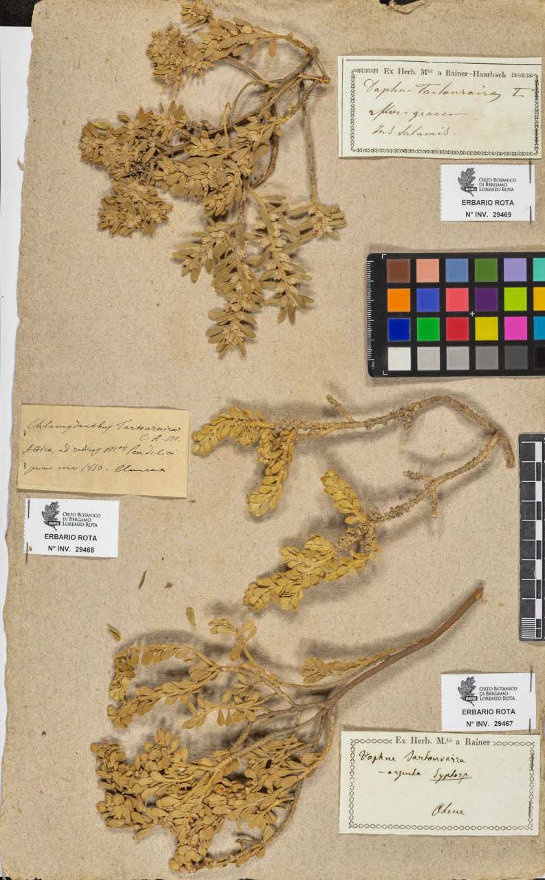 SW_BNB_s3090-07491_IMG-0000000001