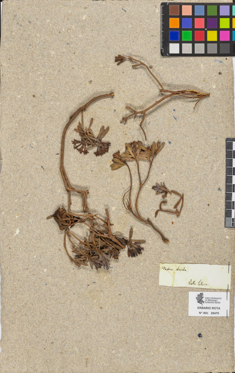 SW_BNB_s3090-07492_IMG-0000000001