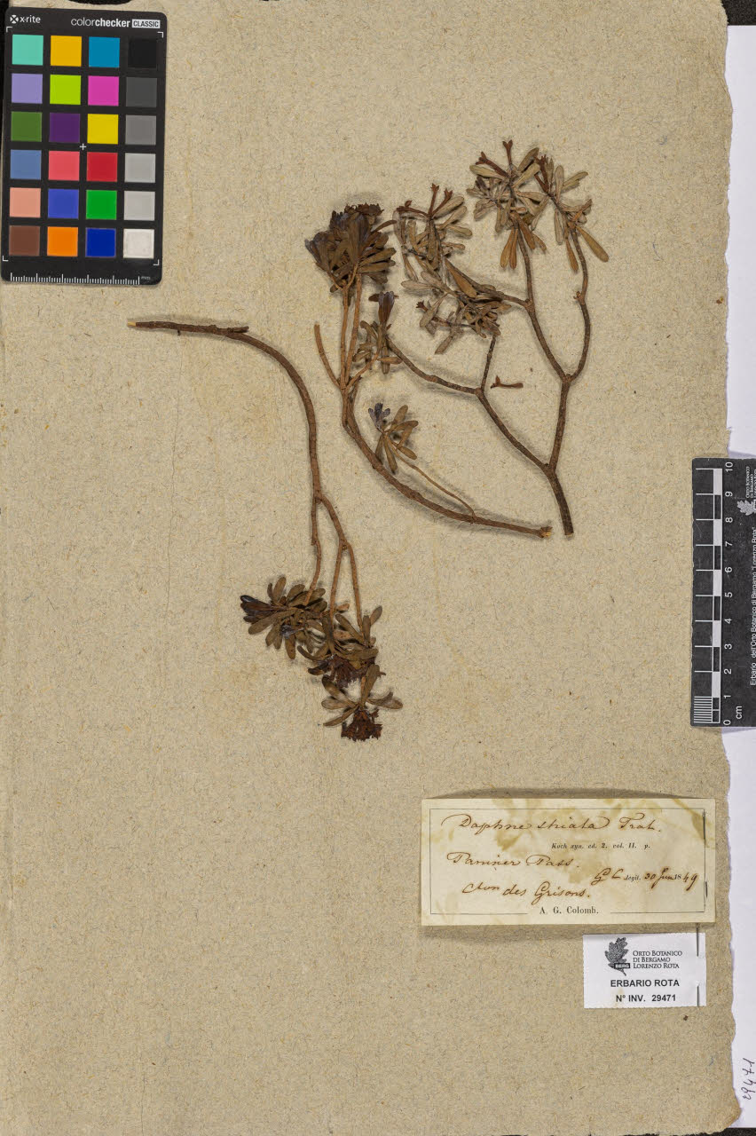 SW_BNB_s3090-07493_IMG-0000000001