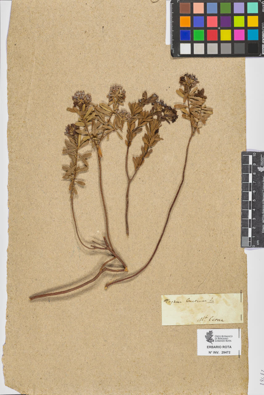 SW_BNB_s3090-07494_IMG-0000000001