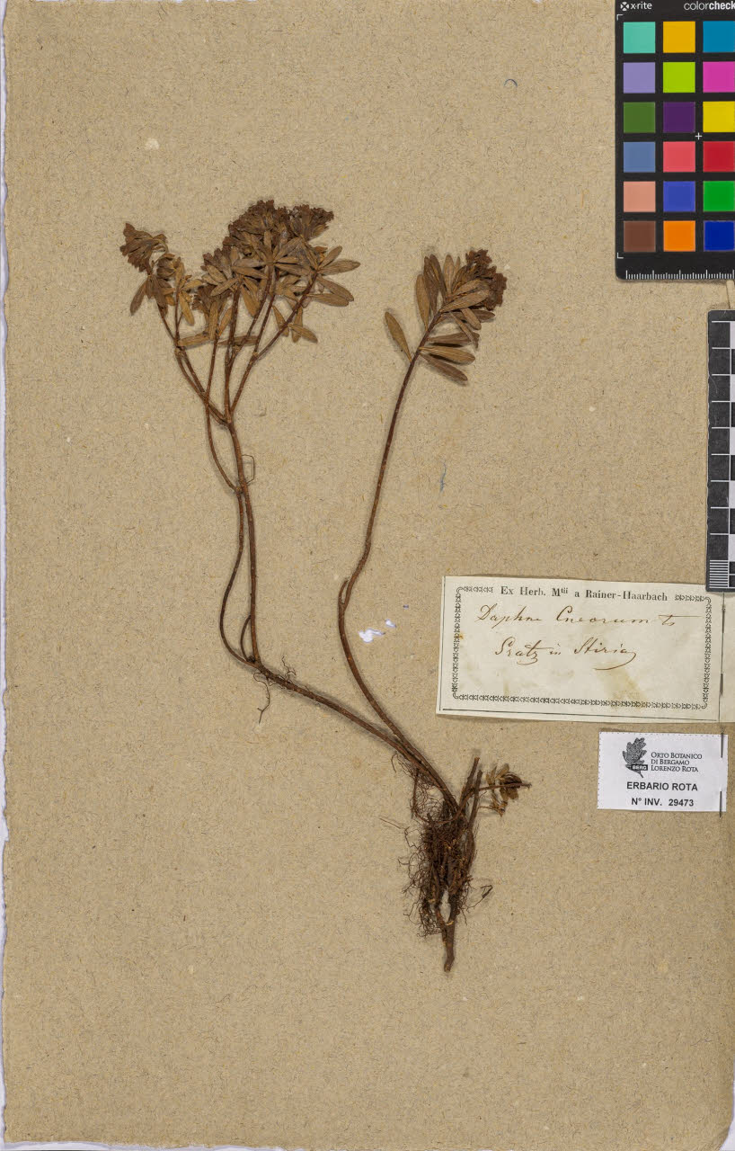 SW_BNB_s3090-07495_IMG-0000000001