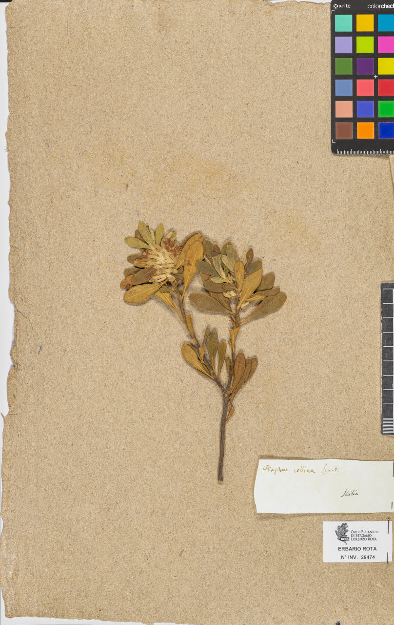 SW_BNB_s3090-07496_IMG-0000000001