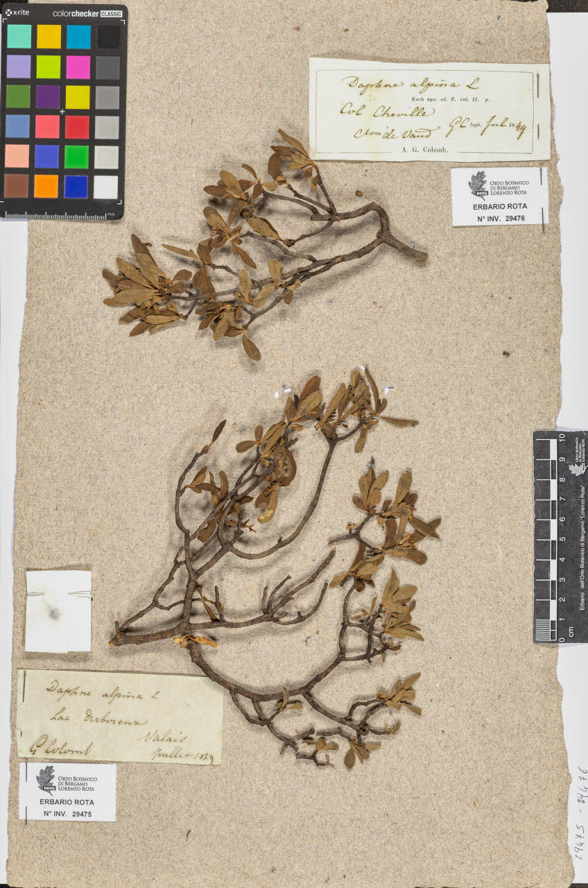 SW_BNB_s3090-07498_IMG-0000000001