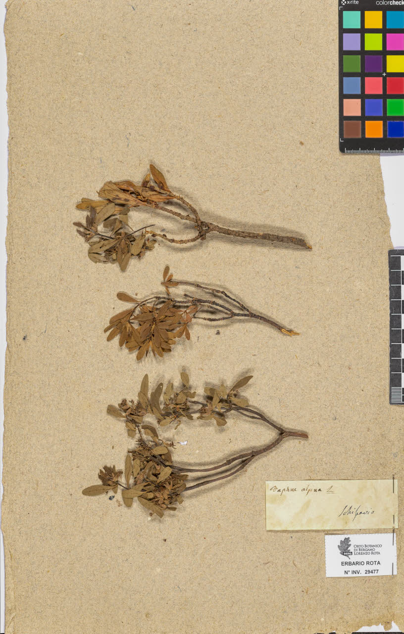 SW_BNB_s3090-07499_IMG-0000000001