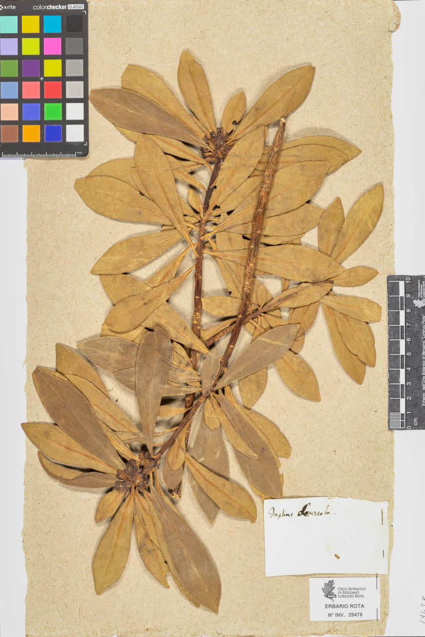 SW_BNB_s3090-07500_IMG-0000000001