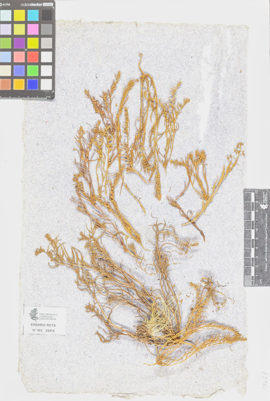 SW_BNB_s3090-07501_IMG-0000000001