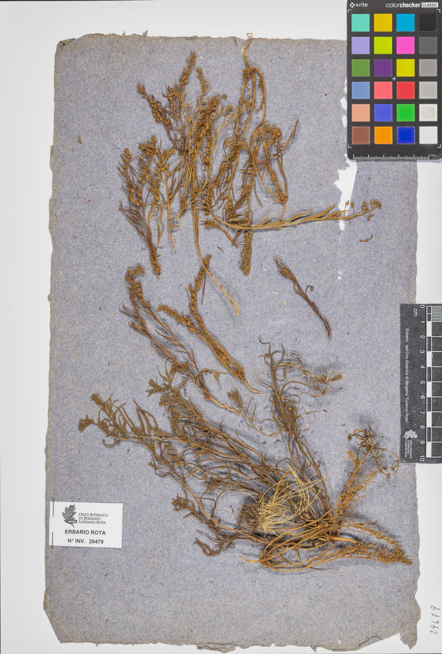 SW_BNB_s3090-07501_IMG-0000000002