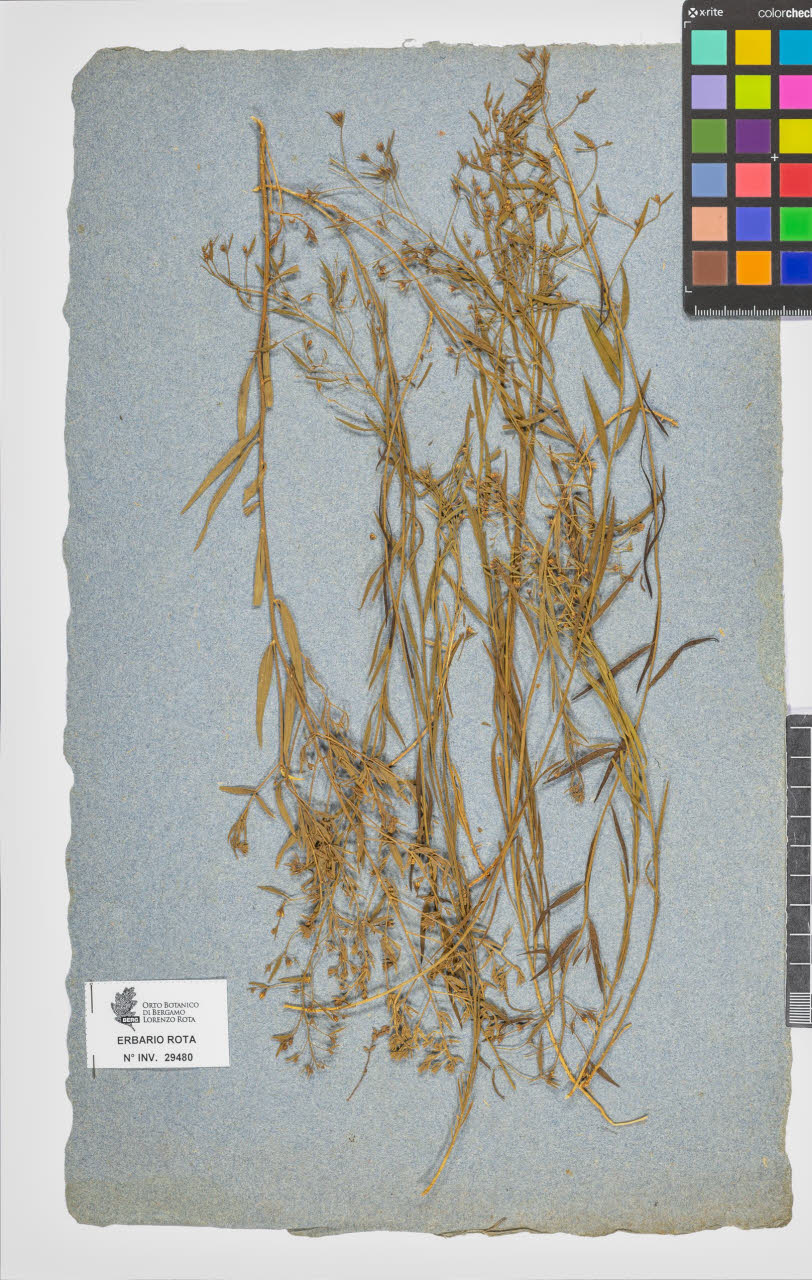 SW_BNB_s3090-07502_IMG-0000000001