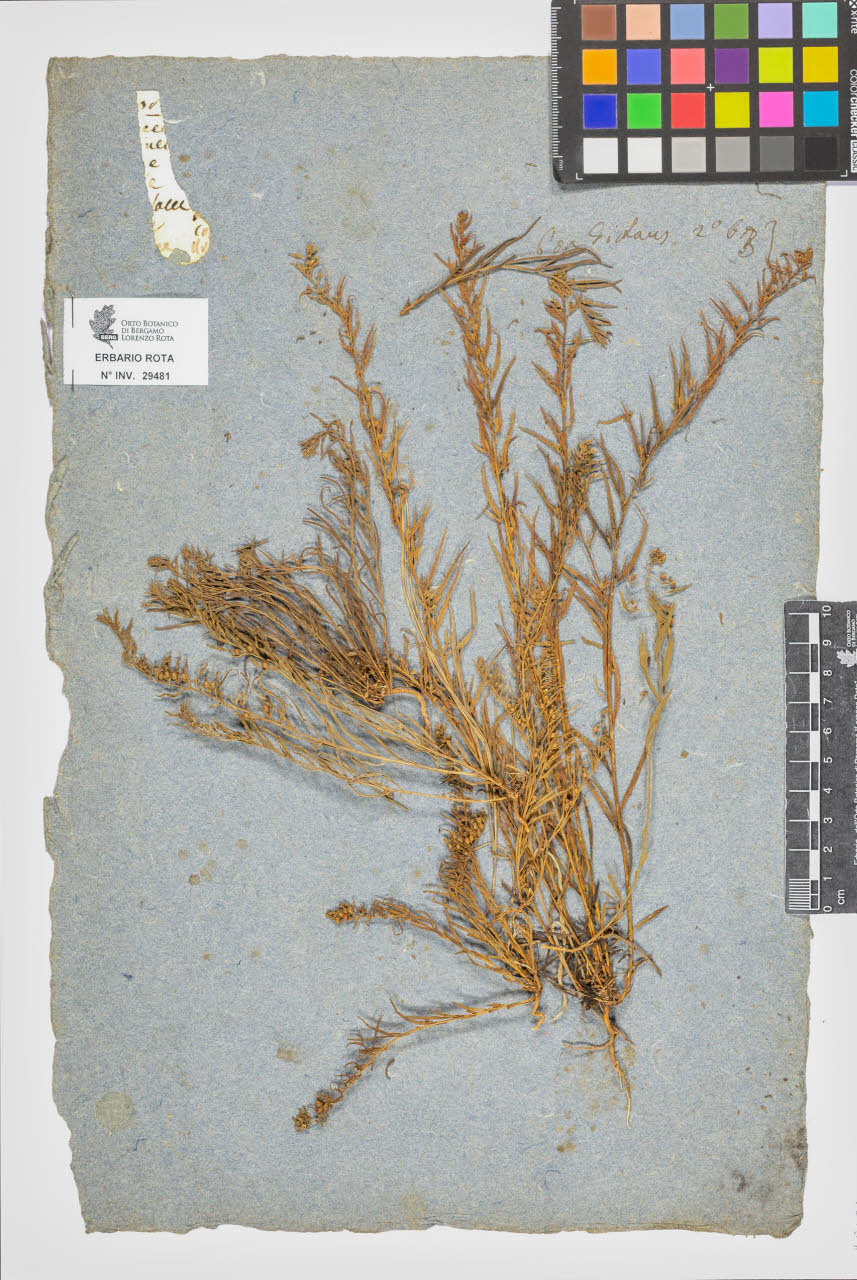 SW_BNB_s3090-07503_IMG-0000000001