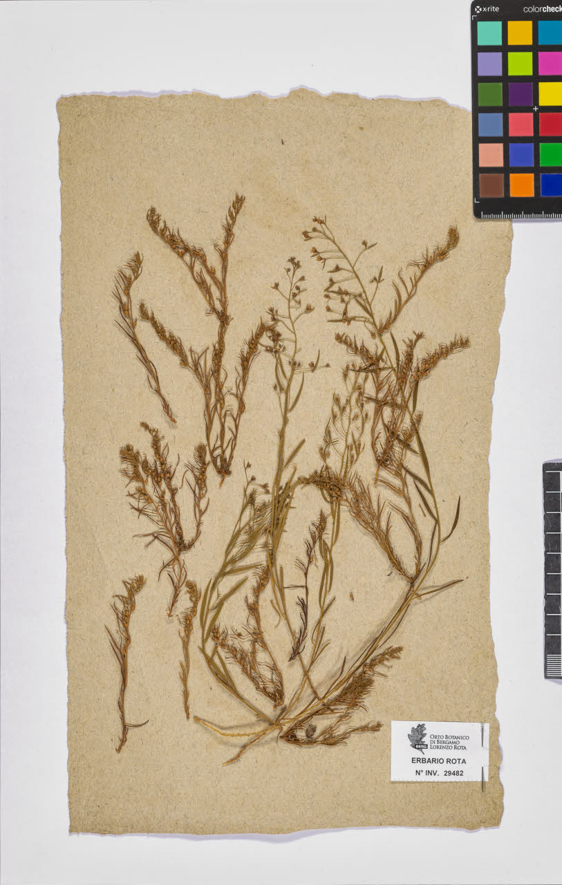 SW_BNB_s3090-07504_IMG-0000000001