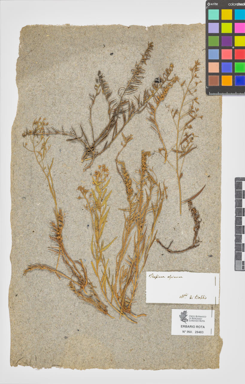 SW_BNB_s3090-07505_IMG-0000000001